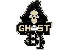 Batting 1000 Baseball Academy logo