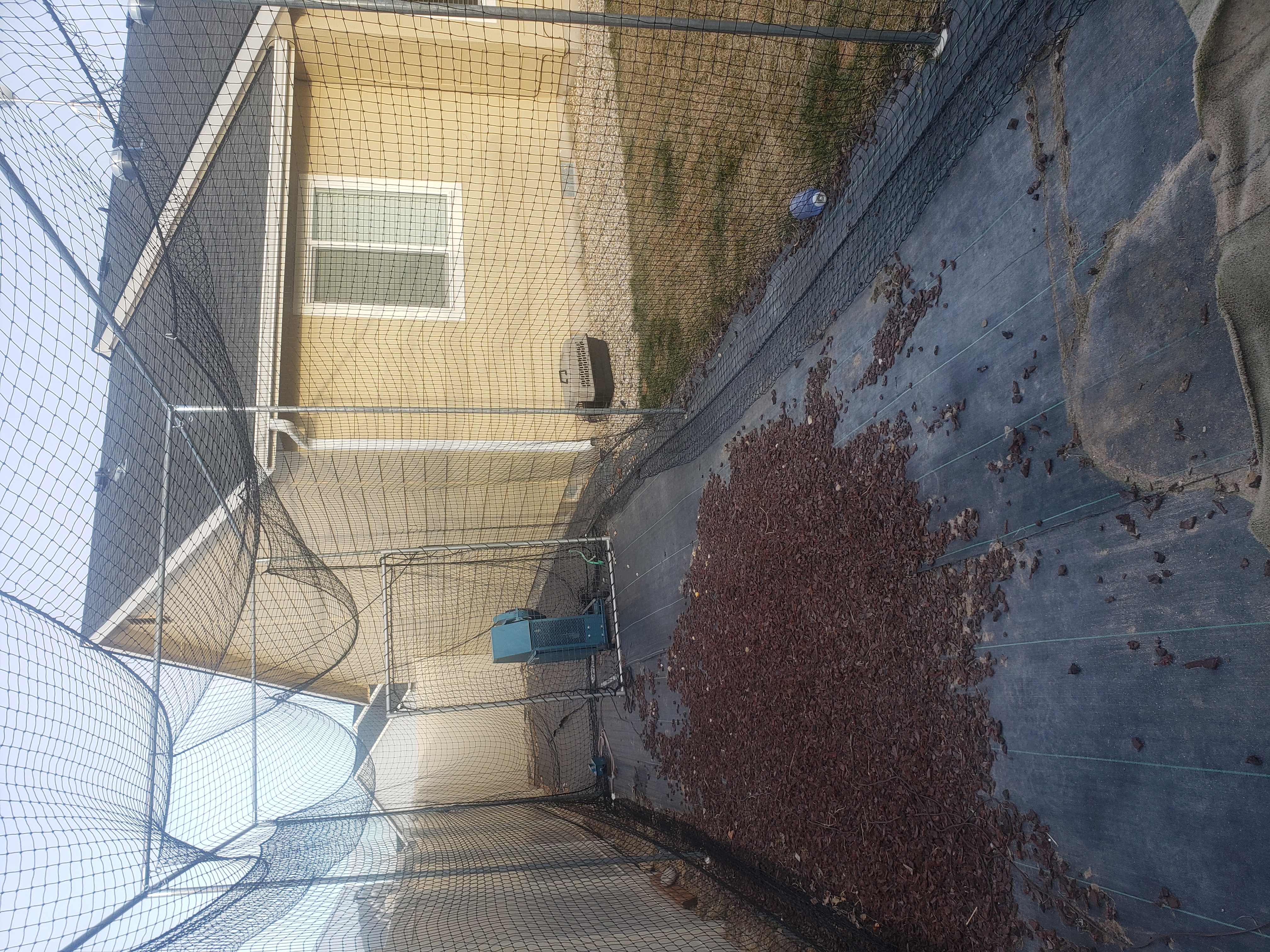 Iron Mike Batting Cage in Kuna, ID