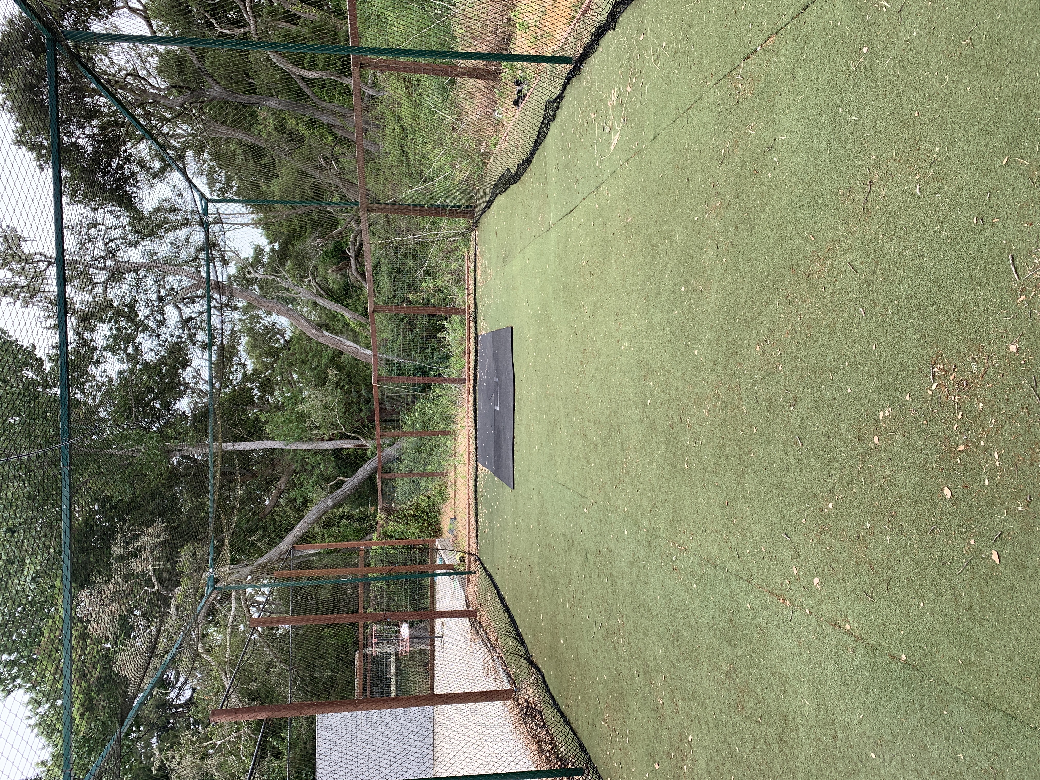 Super cool batting cage with pitching machine