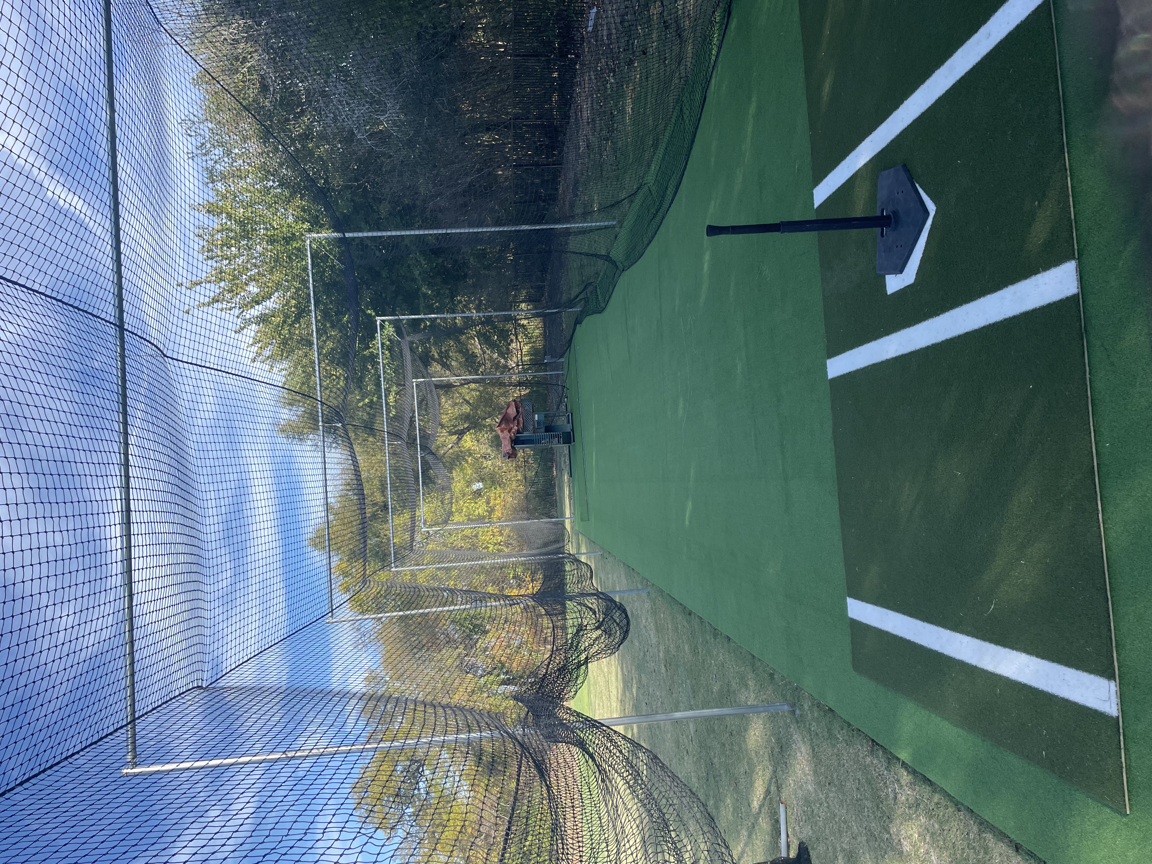Batting Cage with Iron Mike pitching machine in Allen, TX