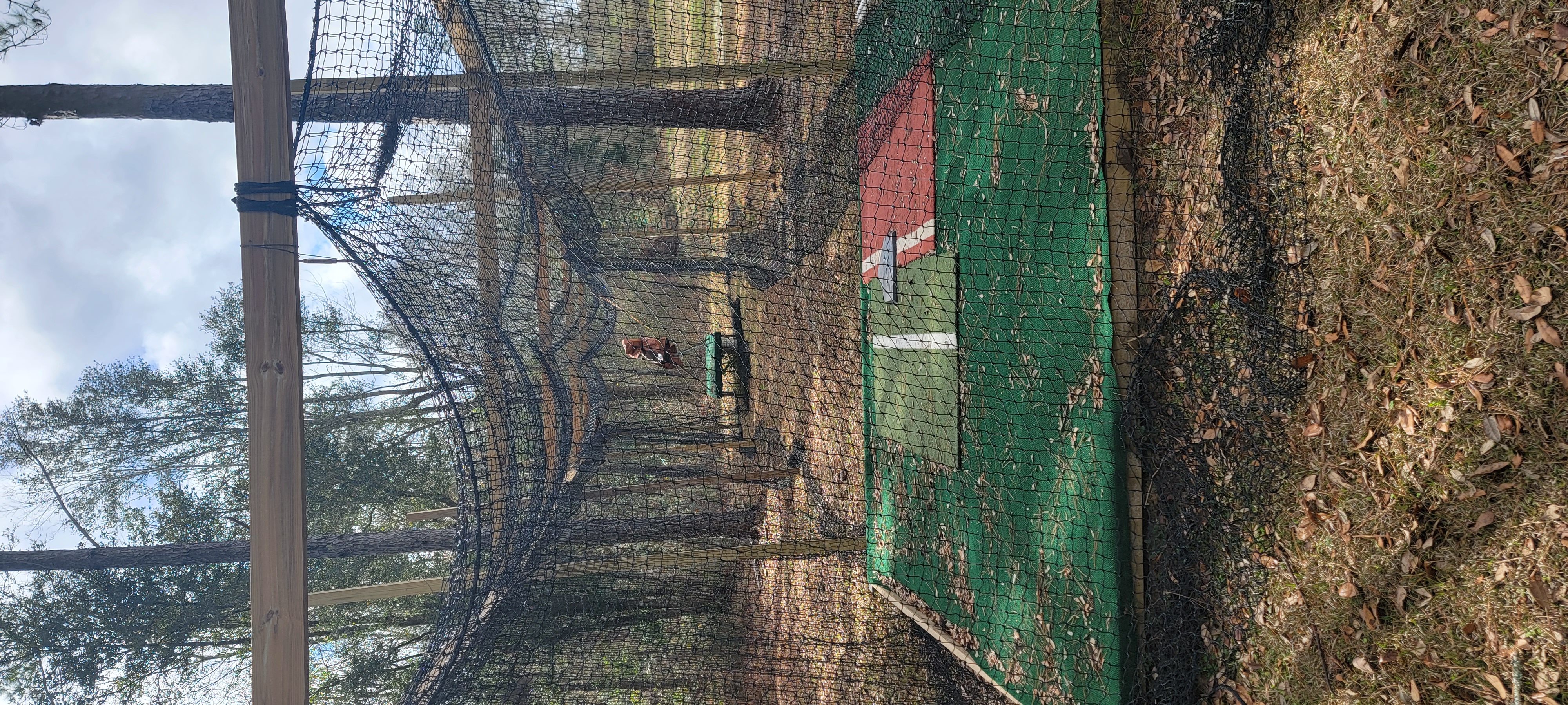 Backyard baseball batting cage in Cairo, GA