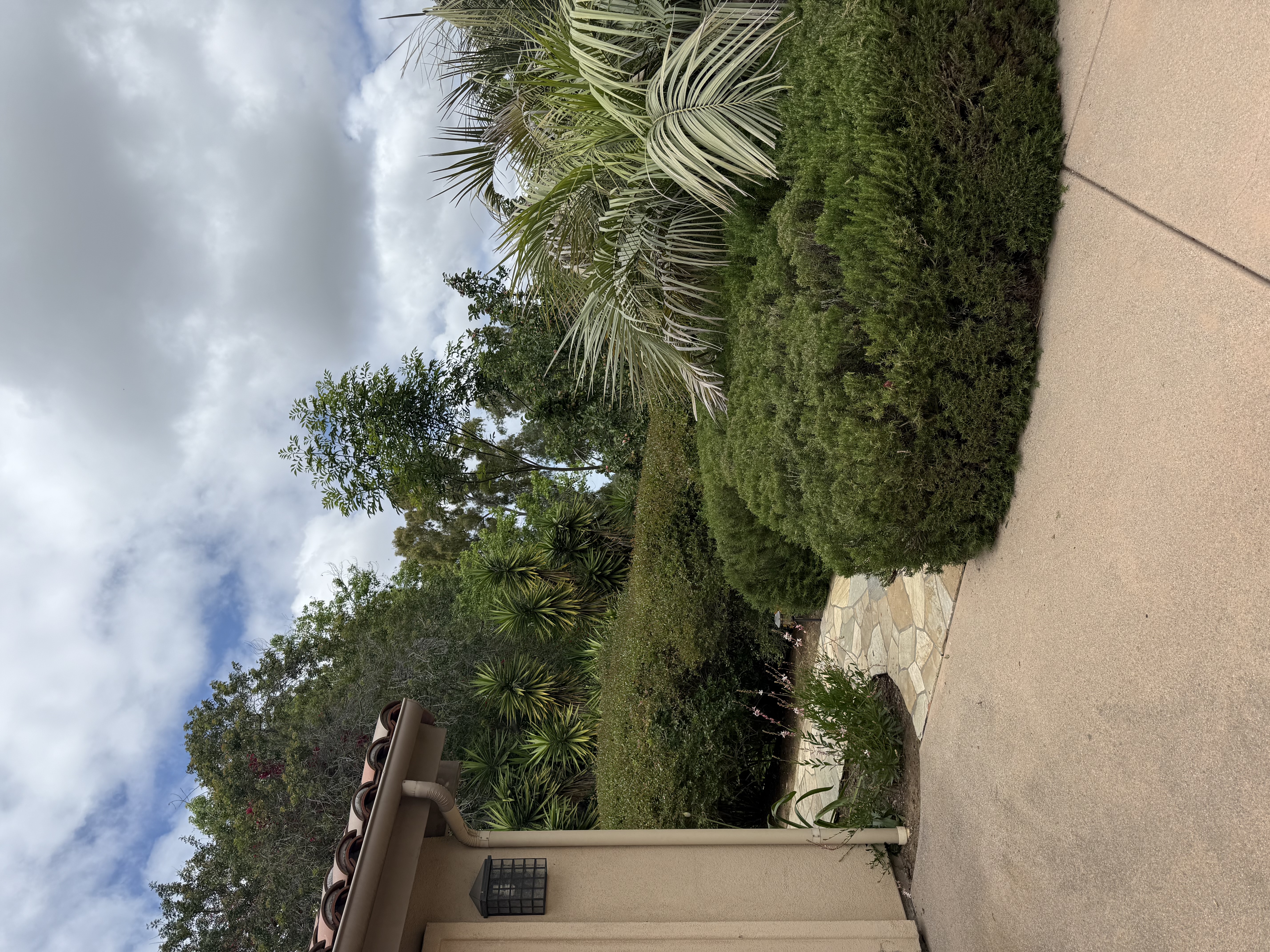 Outdoor-Uncovered in Rancho Santa Fe, Rancho Santa Fe - View 3