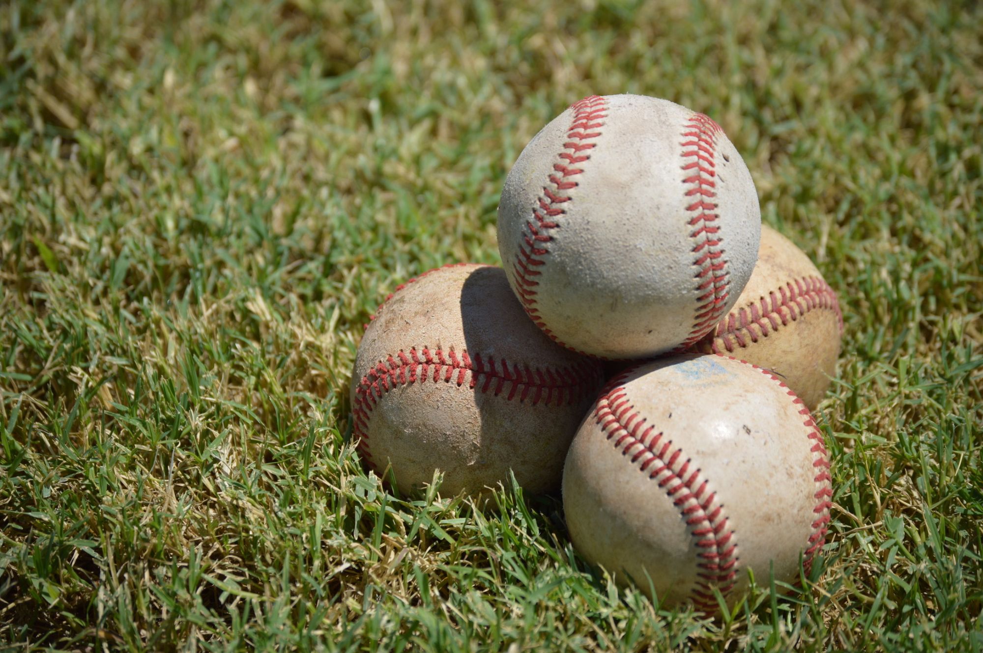 Baseball batting cage