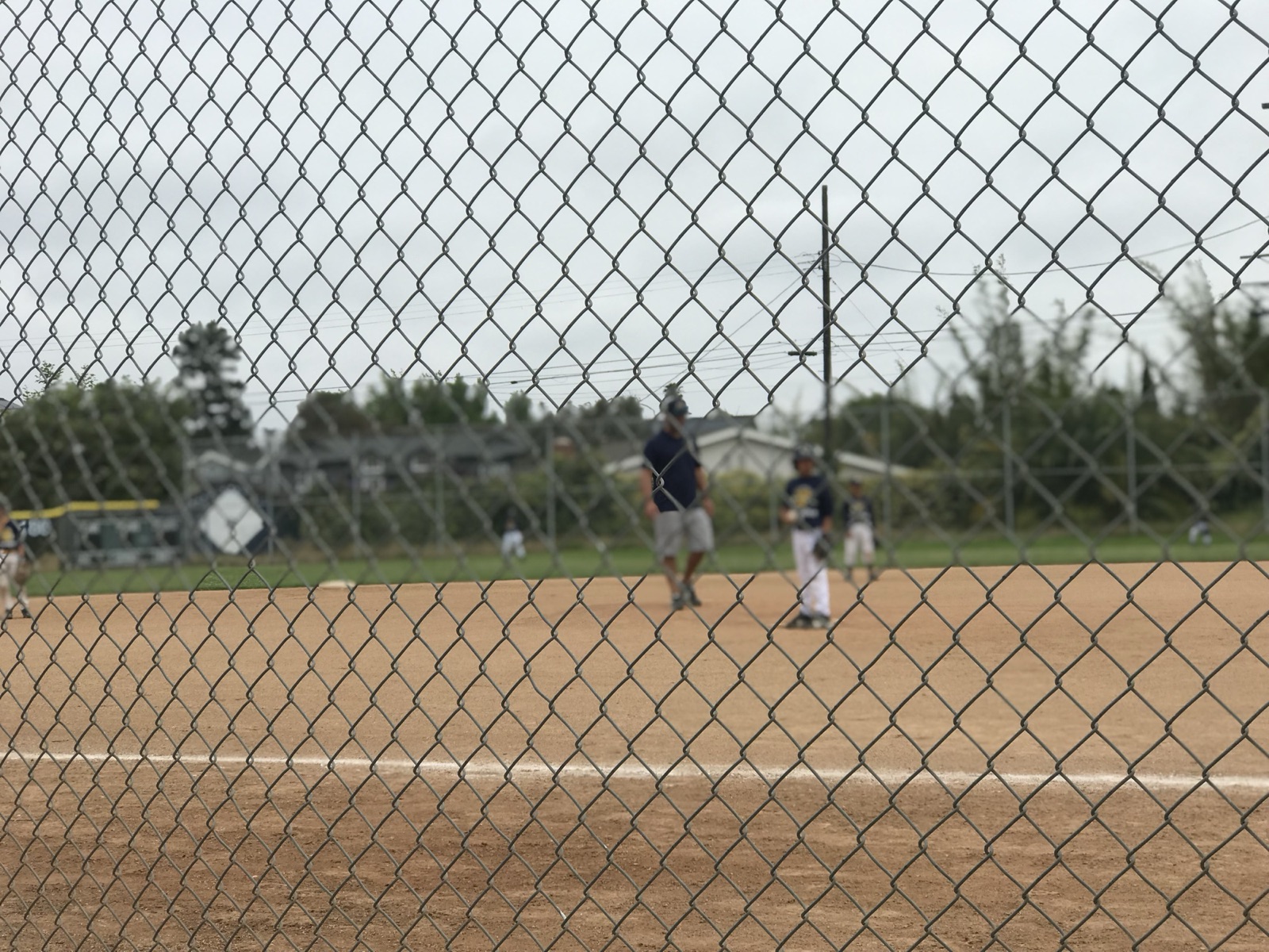 CageLog training post